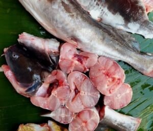 Cá lăng đỏ cắt khúc nấu canh chua