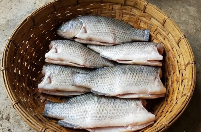 Cá rô làm sạch chuẩn bi nấu ăn